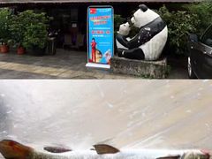 -干老四雅鱼饭店(滨江西路店)