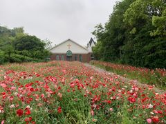-天目湖涵田度假村