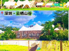 -云栖山谷野奢营地
