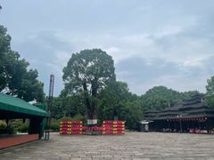 -韩湘水博园