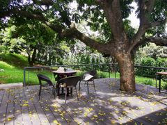 -罗汉堂·荷谷(礼智路店)