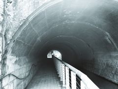 -白水寺森林公园