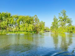 -溱湖国家湿地公园