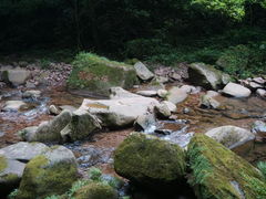 -碧峰峡风景区
