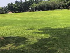 -深圳龙潭公园