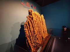 -贵州省地质博物馆