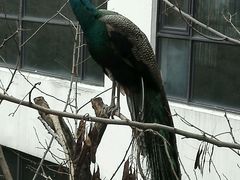 android_upload_pic-苏州环秀晓筑养生度假村