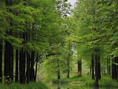 -西溪国家湿地公园