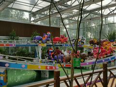 -南宫五洲植物乐园