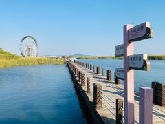 -苏州太湖湖滨国家湿地公园