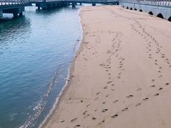 -海沧湾公园