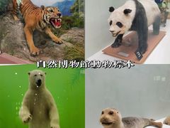 -国家自然博物馆