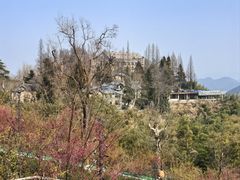 -莫干山风景区