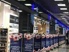 -谢列梅捷沃国际机场