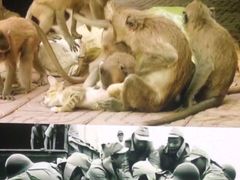 -昆明动物园
