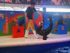 -成都浩海立方海洋公园