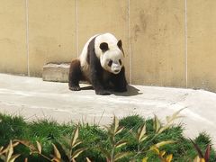 -西安秦岭野生动物园