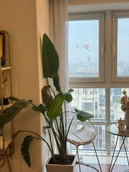 点击看大图 -演员的秘密·皮肤管理