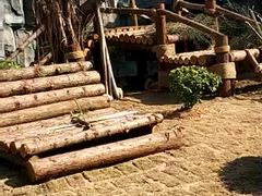 -泉州海丝野生动物世界