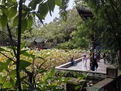 -房湖公园