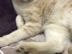 -惠康宠物医院(华能路店)