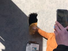 -克比叔叔印度餐厅Kebabs on the Grille(永康路分店)