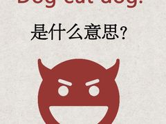 -瑞思英语·少儿英语启蒙(河西·梅江第六田园校区)