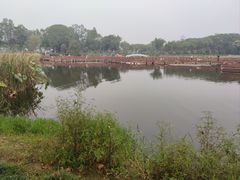 -金银湖国家城市湿地公园