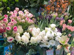 -BOBLOOM花店(宝龙旭辉广场店)