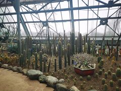 -南山植物园