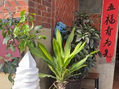 -杨小贤(五店市店)