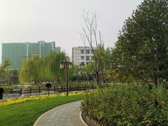 -西海子公园