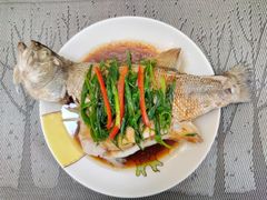 -大班家政月嫂育儿嫂(深圳NO.1店)