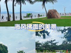 -深圳湾公园(南山区)