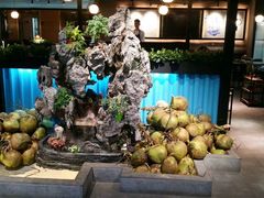 -东椰·海南椰子鸡火锅(朝阳门店)