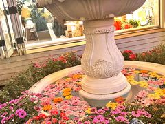 -秀儿家の小确幸花园西餐厅