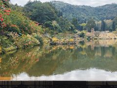 -深圳仙湖植物园