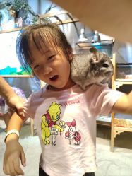 -酷嗒动物文化乐园(cutezoo西溪乐天城店)