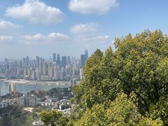 -南山植物园