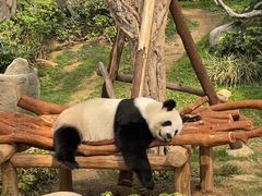 -香港海洋公园