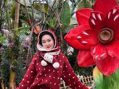 -沈阳植物园
