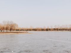 -永定河休闲森林公园