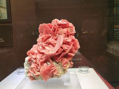 -湖南省地质博物馆