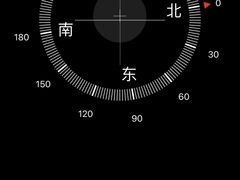 -上海佘山国家森林公园天马山园