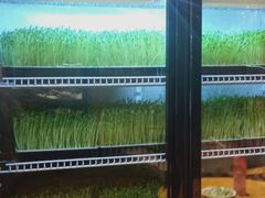 -煲宫猪肚鸡(昆山金鹰国际购物中心店)