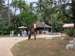 -三亚珠江南田温泉度假区