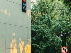 -中央民族大学