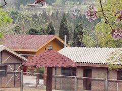 -石家庄市动物园