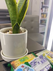 -禾曼造型