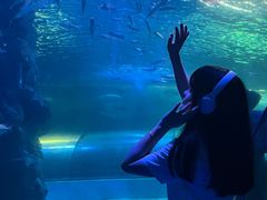 -左海海底世界
